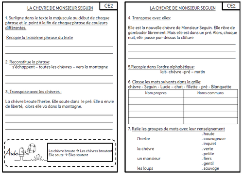 Faire de la grammaire au CE1/CE2