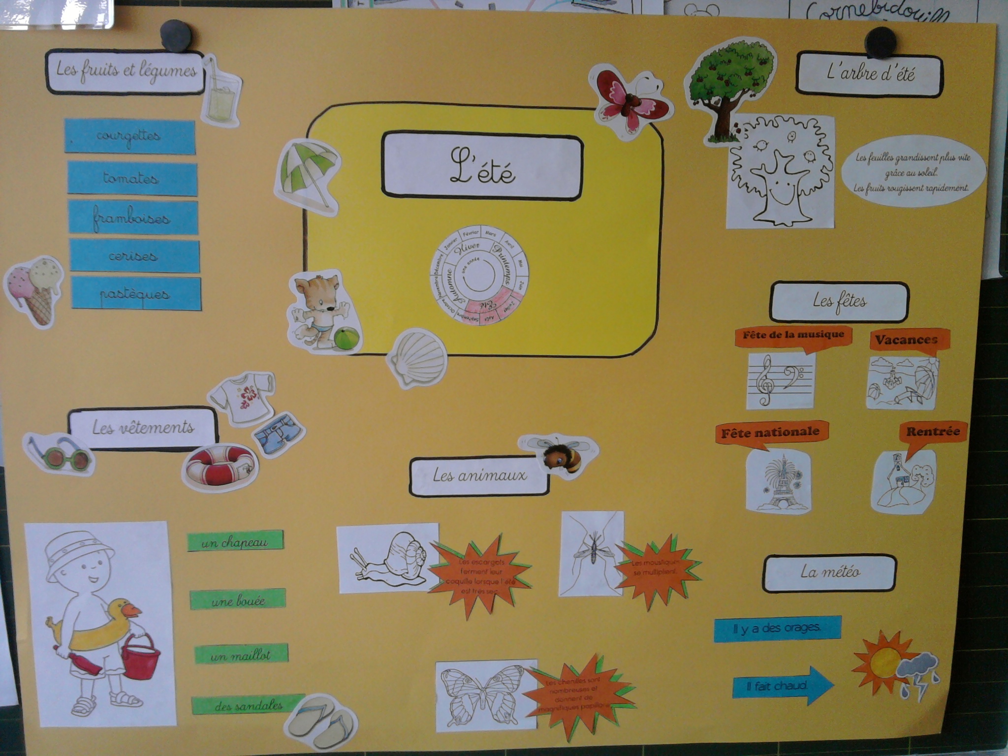 Cartes Heuristiques Les Saisons L Ecole De Crevette