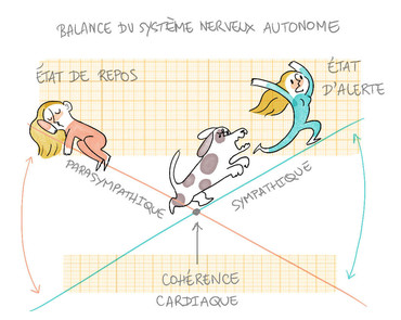 RÃ©sultat de recherche d'images pour "cohÃ©rence cardiaque"