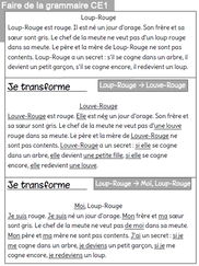 Faire de la grammaire au CE1