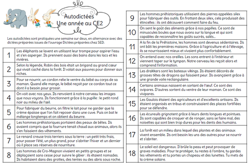 Dictées et auto-dictées au ce2