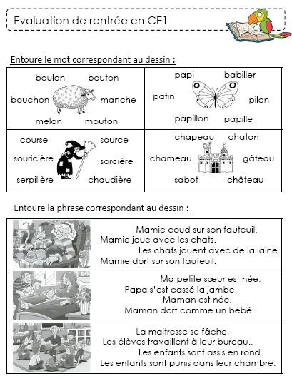 Evaluation Diagnostique De Debut D Annee L Ecole De Crevette