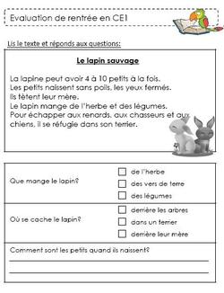 Evaluation Diagnostique De Debut D Annee L Ecole De Crevette