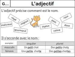 Mes leçons pour les Ce2 grammaire