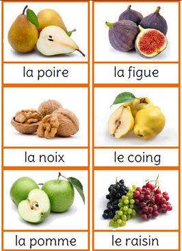 Les saisons carte nomenclature